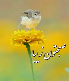 🌷 هر روز صبــــــح🌷 