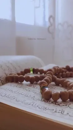 العجـ ـل‌یـآرب