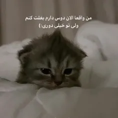 بفرستش برای کسی که مد نظرته