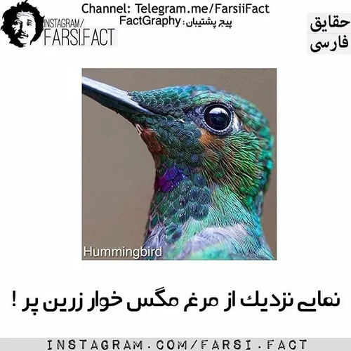 خیلی زیباست