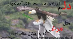 دلم افتاده به دست فلک آدمخوار