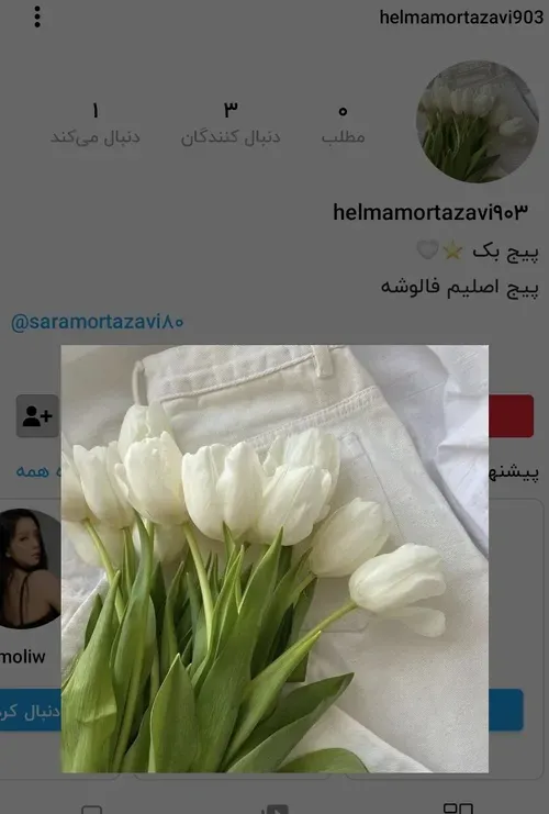 پیج+بکم+فالوشه