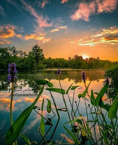 مرد جوانی از مشکلات خود به