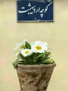 تــــو که باشی 