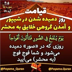 #قران #قرآن #قرآن_کریم #قران_کریم #القرآن #القران_الکریم 