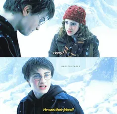 #harry#hermione