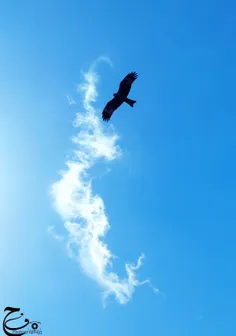 مارو به دوستان خود معرفی کنید📸