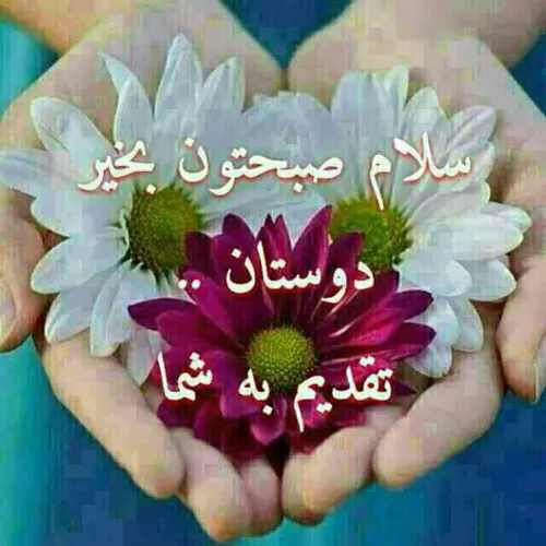 عکس نوشته