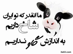 ایرانسلی ها