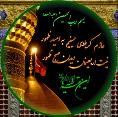 بسم رب الحسین (علیه السلام)