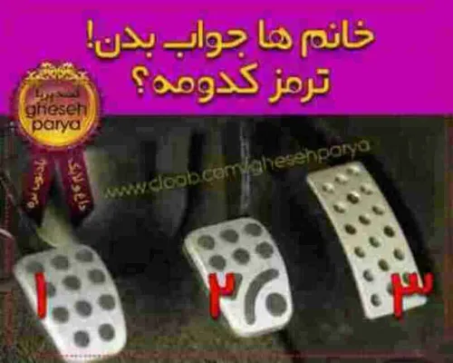 خانم ها جواب بدن