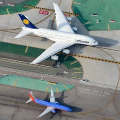 ✅ فیل و فنجان کنار هم، فرودگاه لس آنجلس و ایرباس A380 شرک
