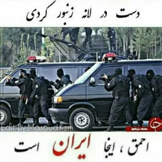 ما نمردیم که آشفتگی آغاز شود