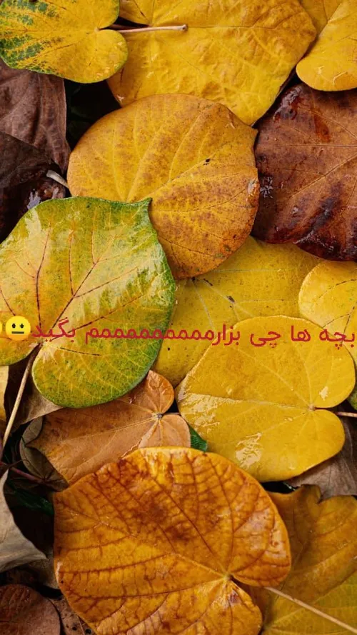 چی بزارم ؟؟؟🙂😐