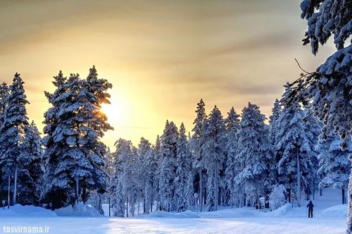 طبیعت زمستانی