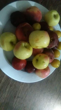 میوه تابستونه