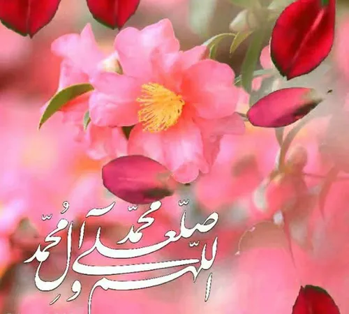 🌼🍃شروع روزی پُر برکت