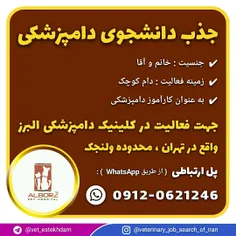 جذب کارآموز دامپزشکی در یک کلینیک دامپزشکی در تهران