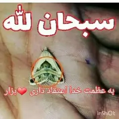 الله اکبر 