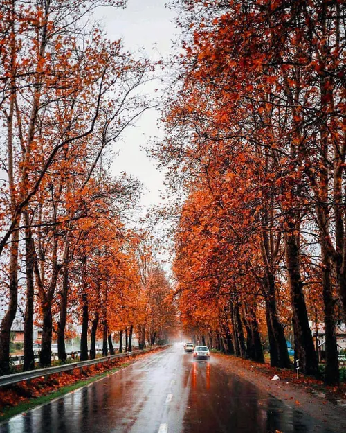 پاییز زیبا جاده فومن گیلان🍂