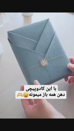 ایده کادوپیچی