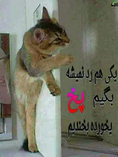 خخخخخخخخخخخ