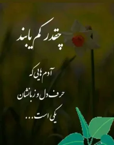 من کسایی رو دوست دارم که خودشونو تو زندگیم پُر رنگ تر میک