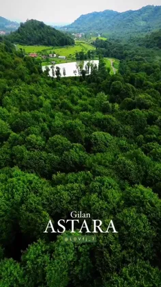 جنگل‌های آستارا ، گیلان* 🌳🌲🌳