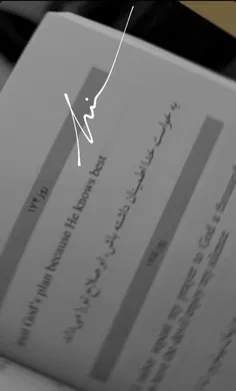 استوری جدید حامیم🖇✨