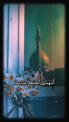 سلام امام مهربانم 