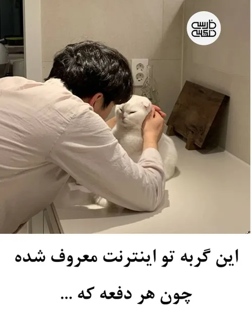 کیوووتتتتت 🥺😂