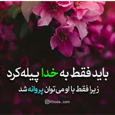 مذهبی mahikh 23749578