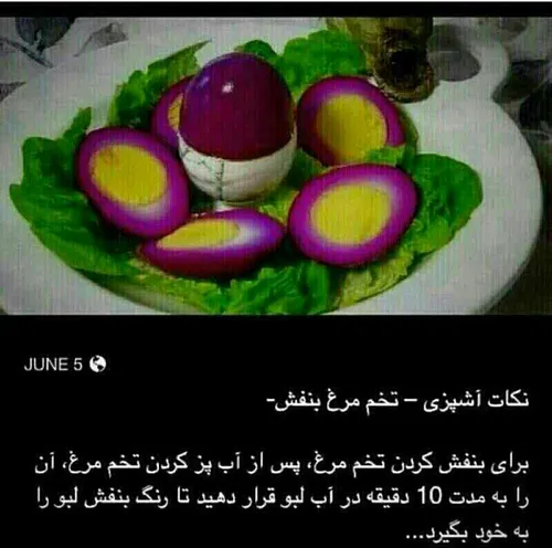 تخم مرغ بنفش