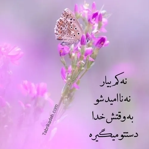  ayaty 45509131 - عکس ویسگون