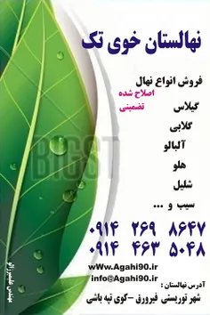 #بهترین #نهالستان | نهالستان #خوی | نهال | #فروش #اینترنت