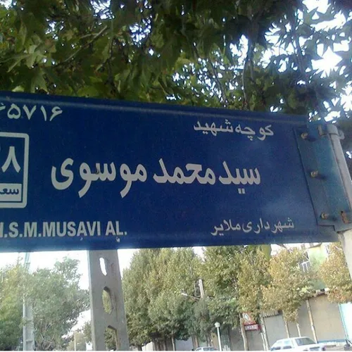 بدوم شرح