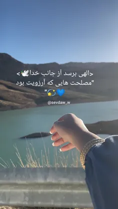 💙🕊