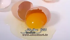 با تخم مرغ عضله سازی کنید