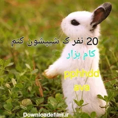 فقط 20نفر( درخاستی) 😊