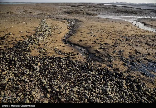 آلودگی نفتی در سواحل بندر ماهشهر