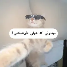 جوری که فالورام بخورد میکنن!🤣