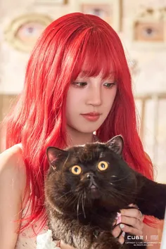This is Yuki and the black cat 