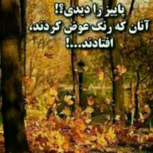 عکس نوشته 1ansherly 21108620 - عکس ویسگون