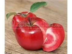 سیب توسرخ/﻿APPLERedlove : این سیب از ابتدا بسیار کمیاب اس