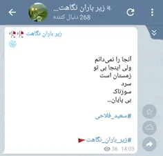 سعید فلاحی (زانا کوردستانی)