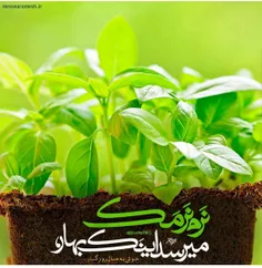 عکس نوشته dokhilove73 22880406