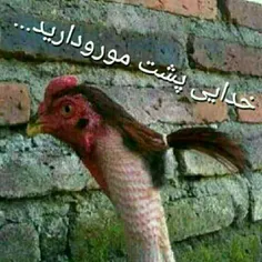 بدون شرح...