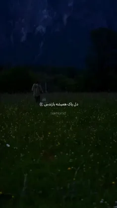 hjyfjihb 75391822