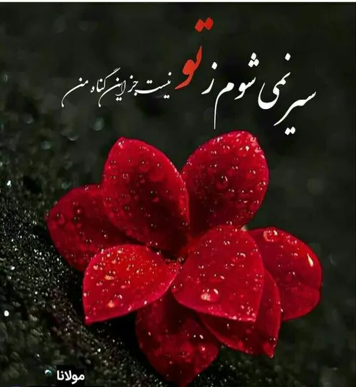 عکس نوشته عشق عاشقانه عشقولانه