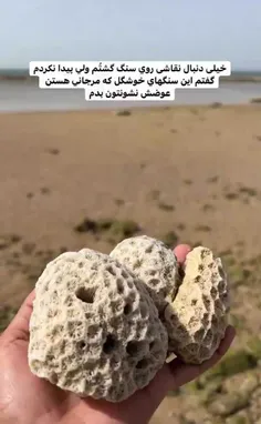 😍ببینید لذت ببرید